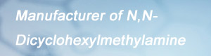 Manufacturer of N,N-Dicyclohexylmethylamine